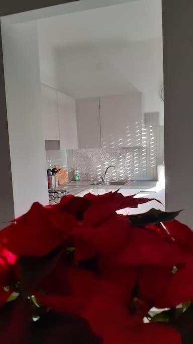 Lo Tsanty Casa Vacanza Aosta Zewnętrze zdjęcie